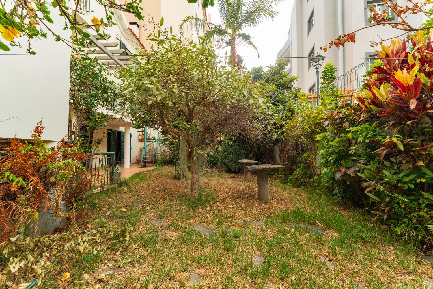  kaufen Villa Ribeira Brava Ribeira Brava 29