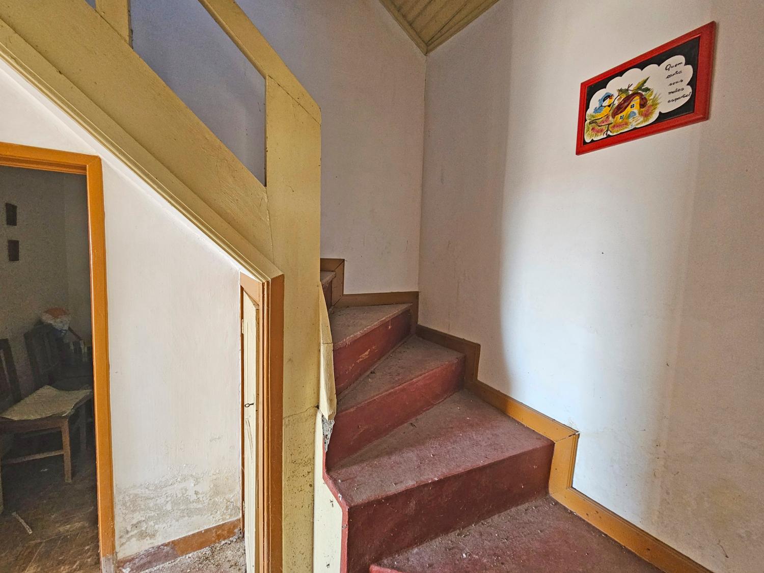  kaufen Freistehend Donfins Guarda 26