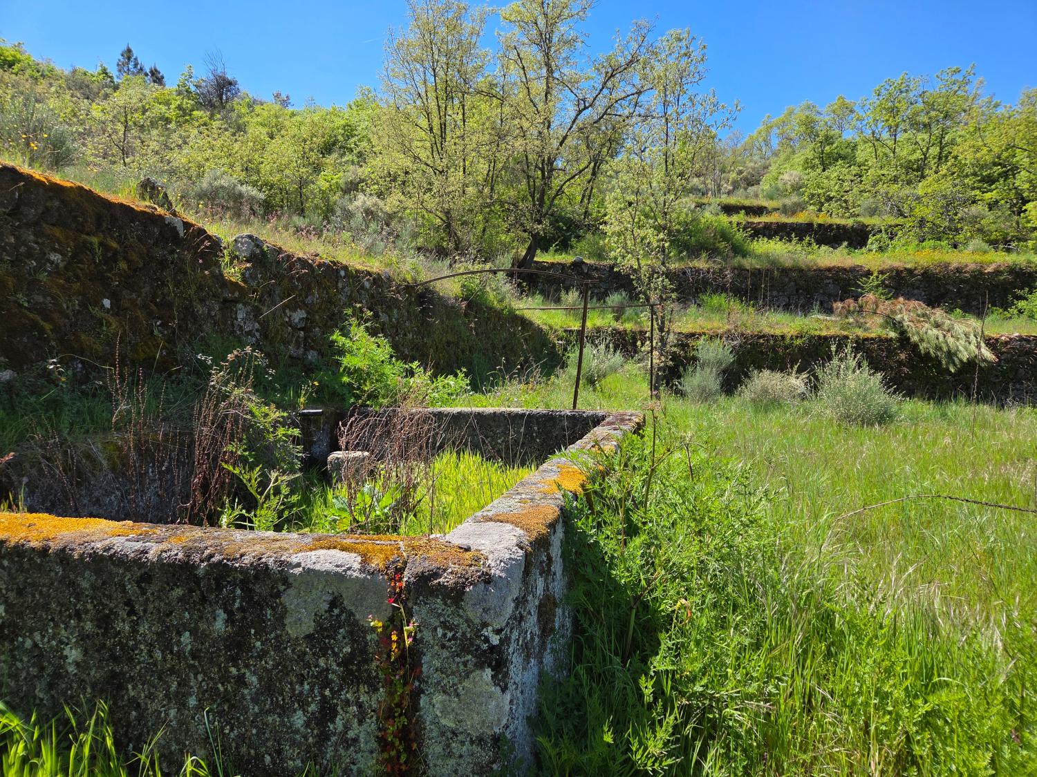  kaufen Bauernhof Lajeosa do Mondego Celorico Da Beira 11