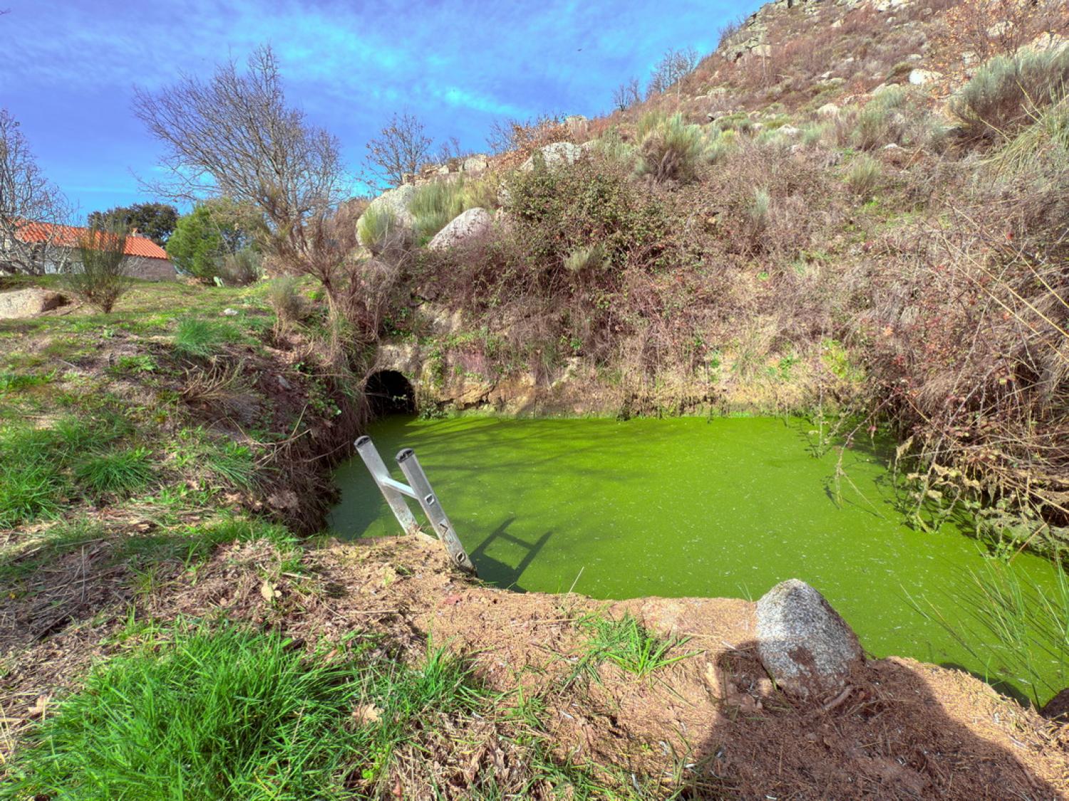  kaufen Bauernhof Pousafoles do Bispo Sabugal 36