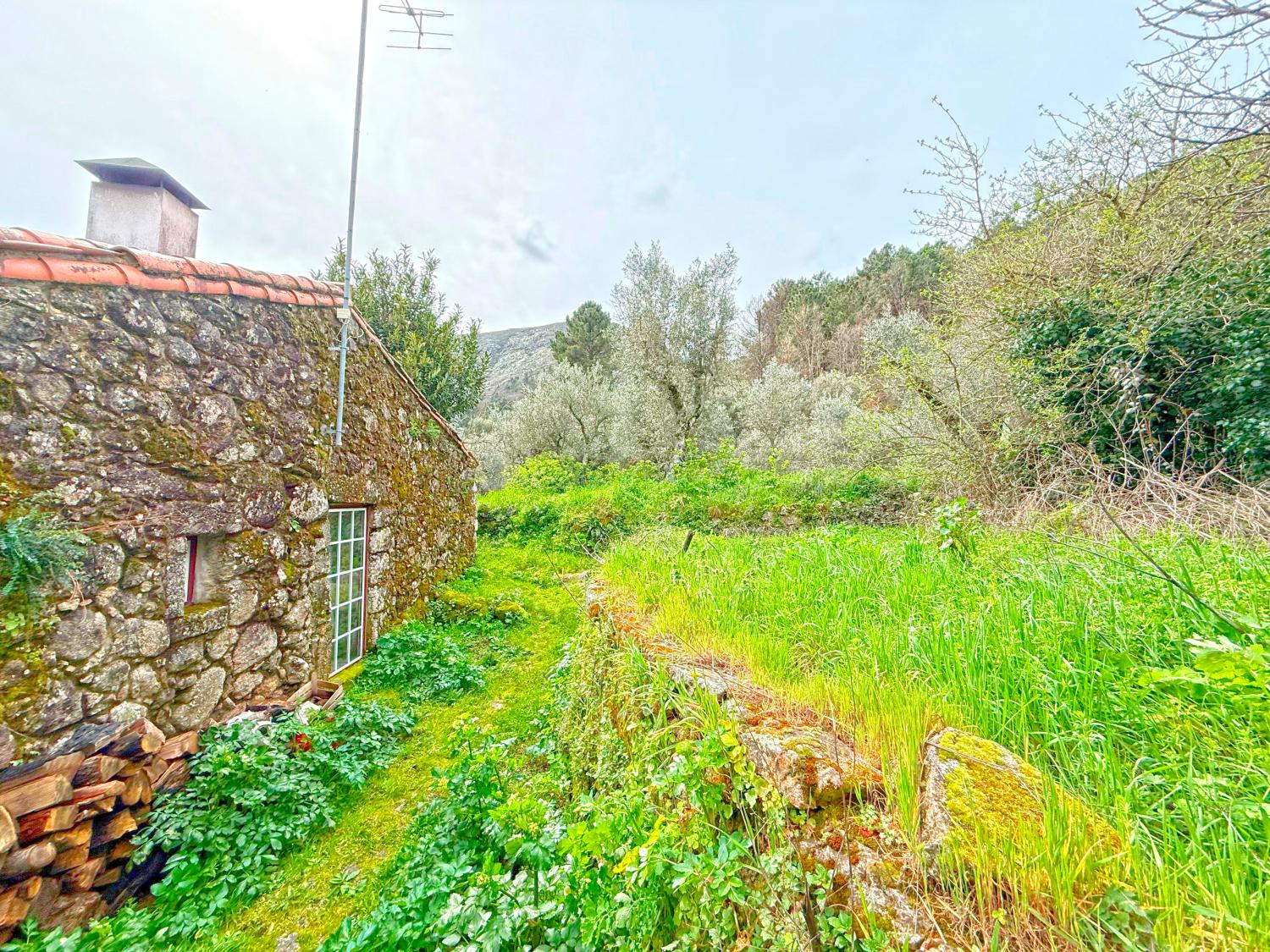  kaufen Haus Vila Soeiro Guarda 5
