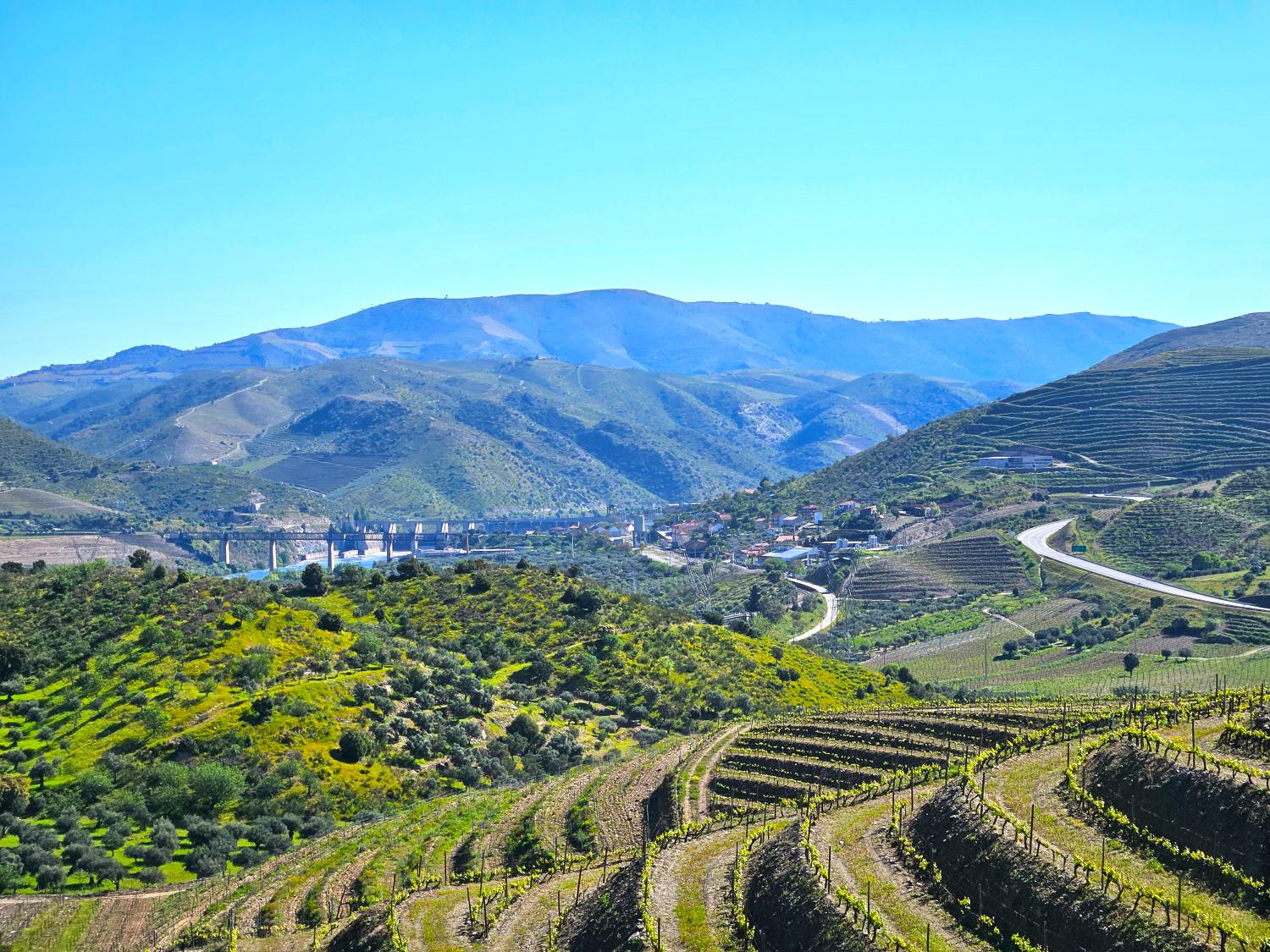  kaufen Weinberg Vila Nova de Foz Côa Vila Nova De Foz Côa 10