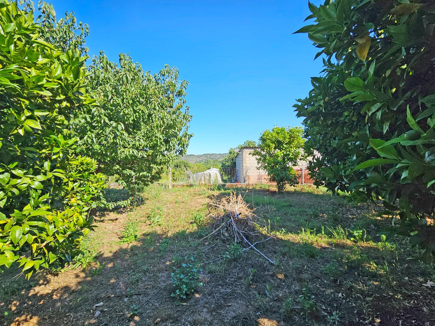 kaufen Haus Orjais Covilhã 3
