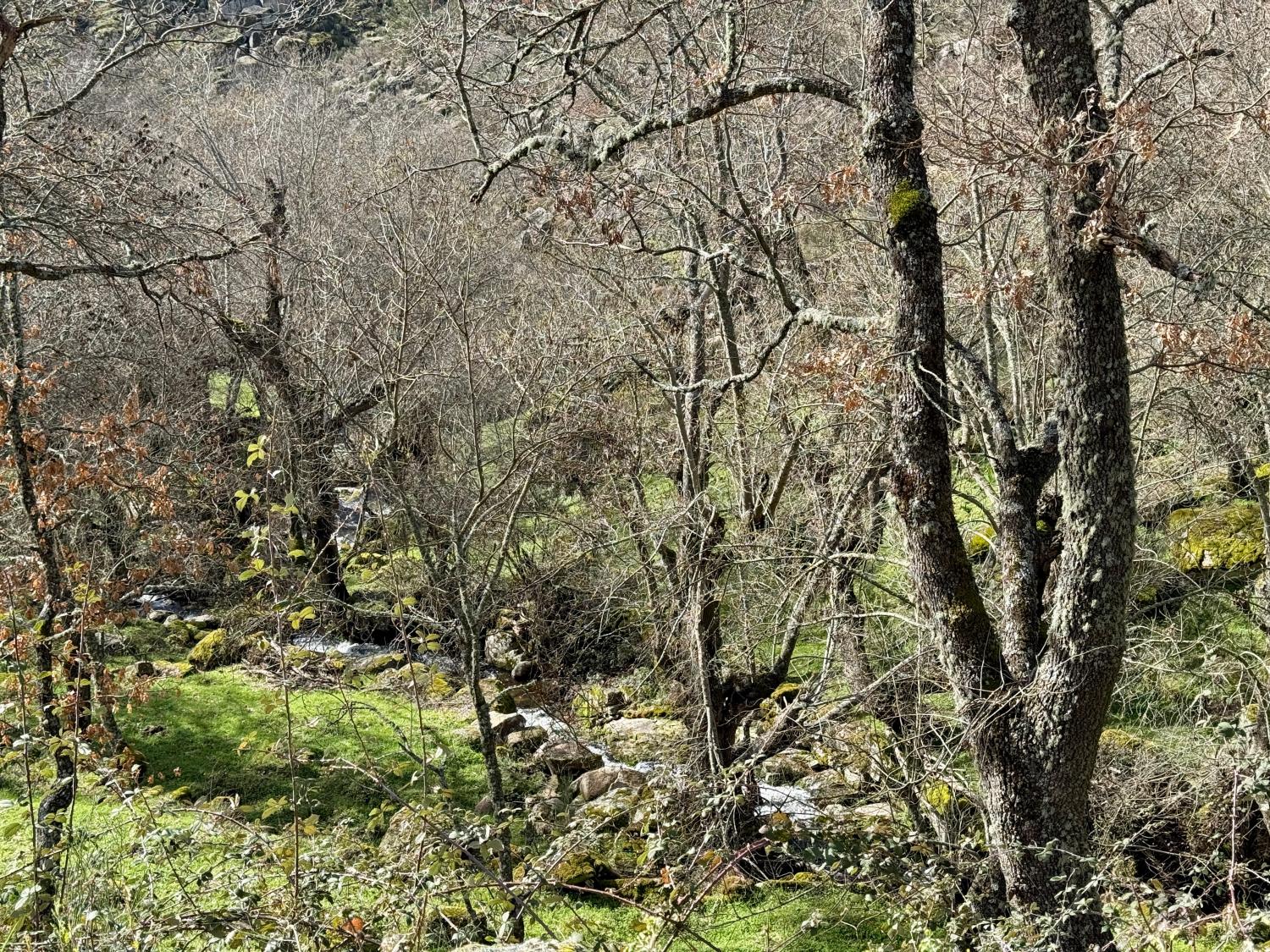  kaufen Bauernhof Pousafoles do Bispo Sabugal 30