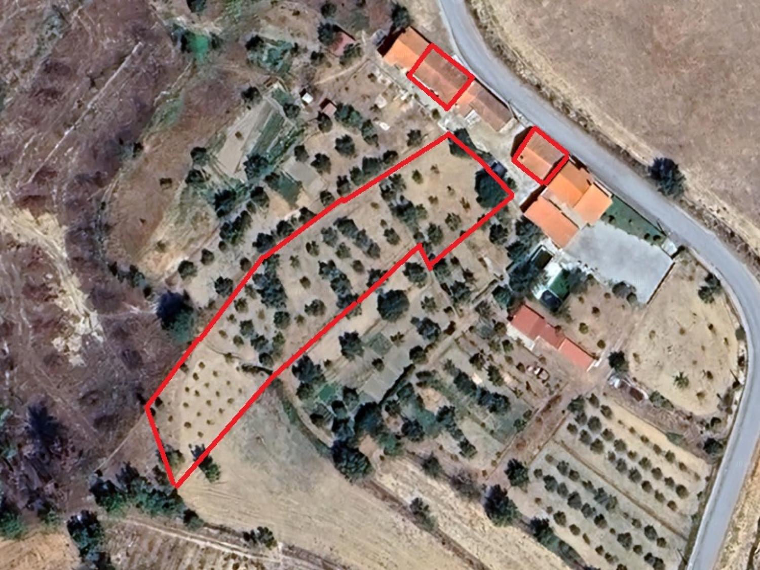  kaufen Haus Gonçalo Guarda 14