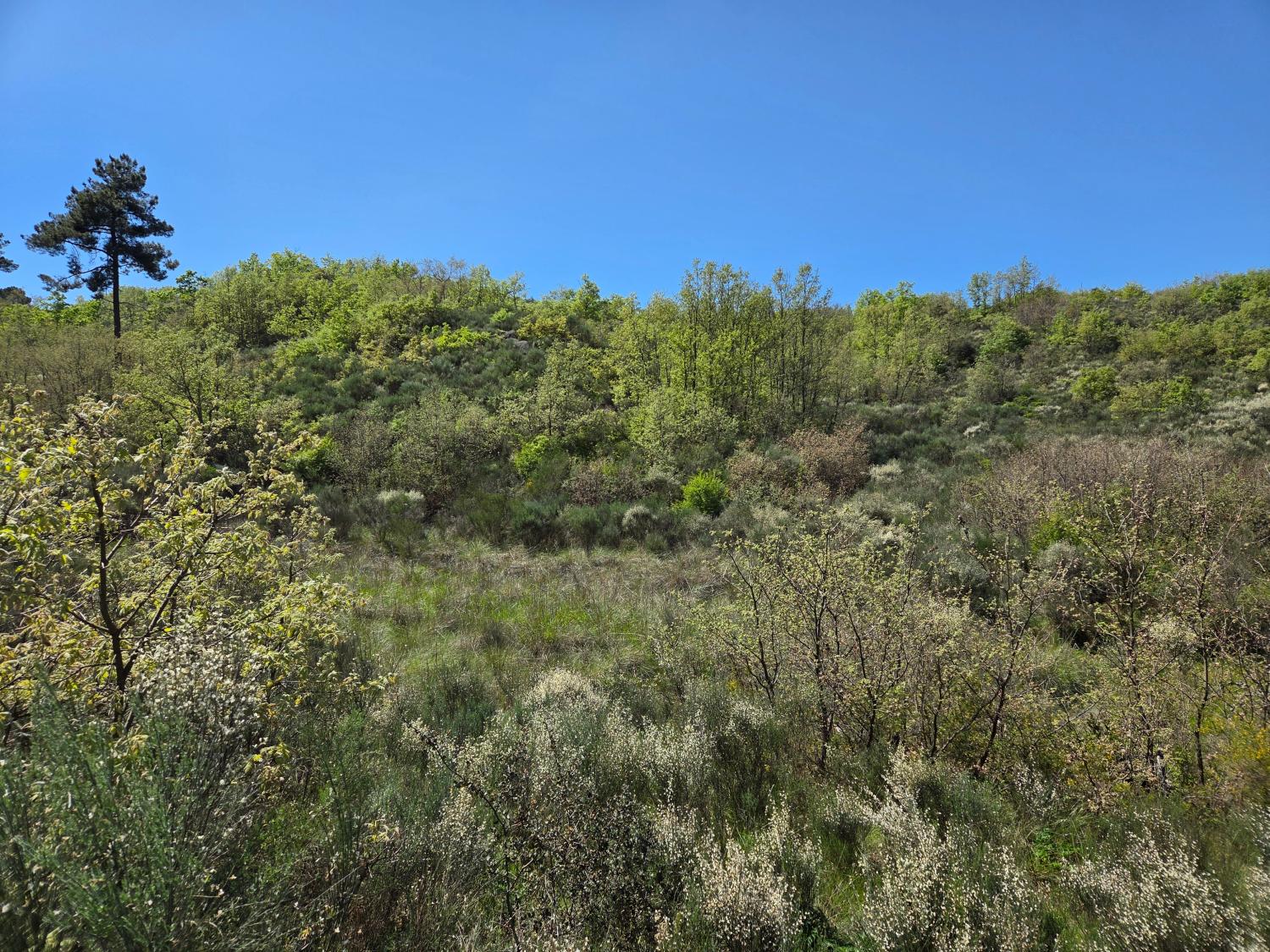  kaufen Bauernhof Lajeosa do Mondego Celorico Da Beira 5