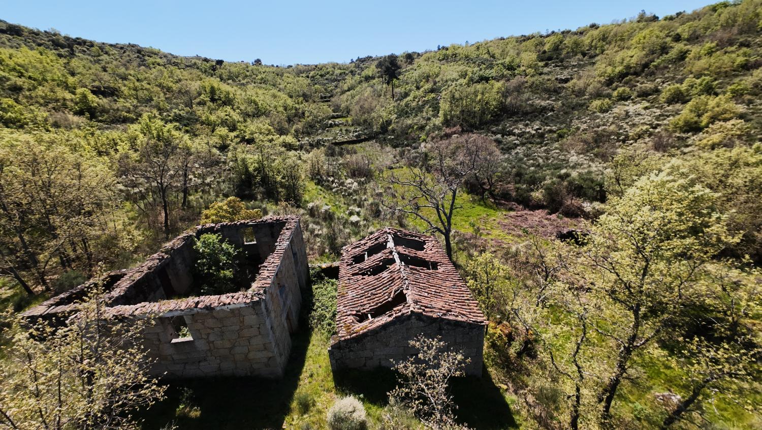 kaufen Bauernhof Lajeosa do Mondego Celorico Da Beira 2