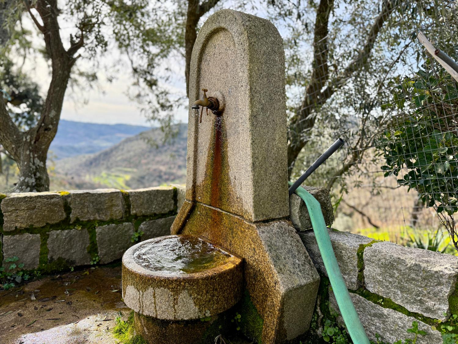  kaufen Bauernhof Pousafoles do Bispo Sabugal 14