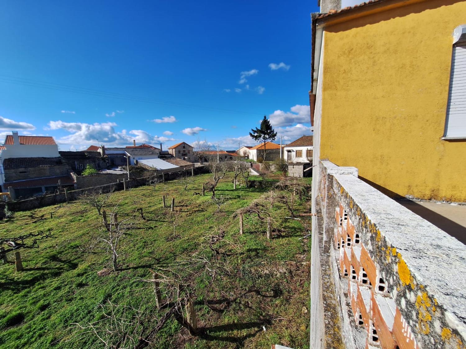  kaufen Freistehend Pai Penela Mêda 8