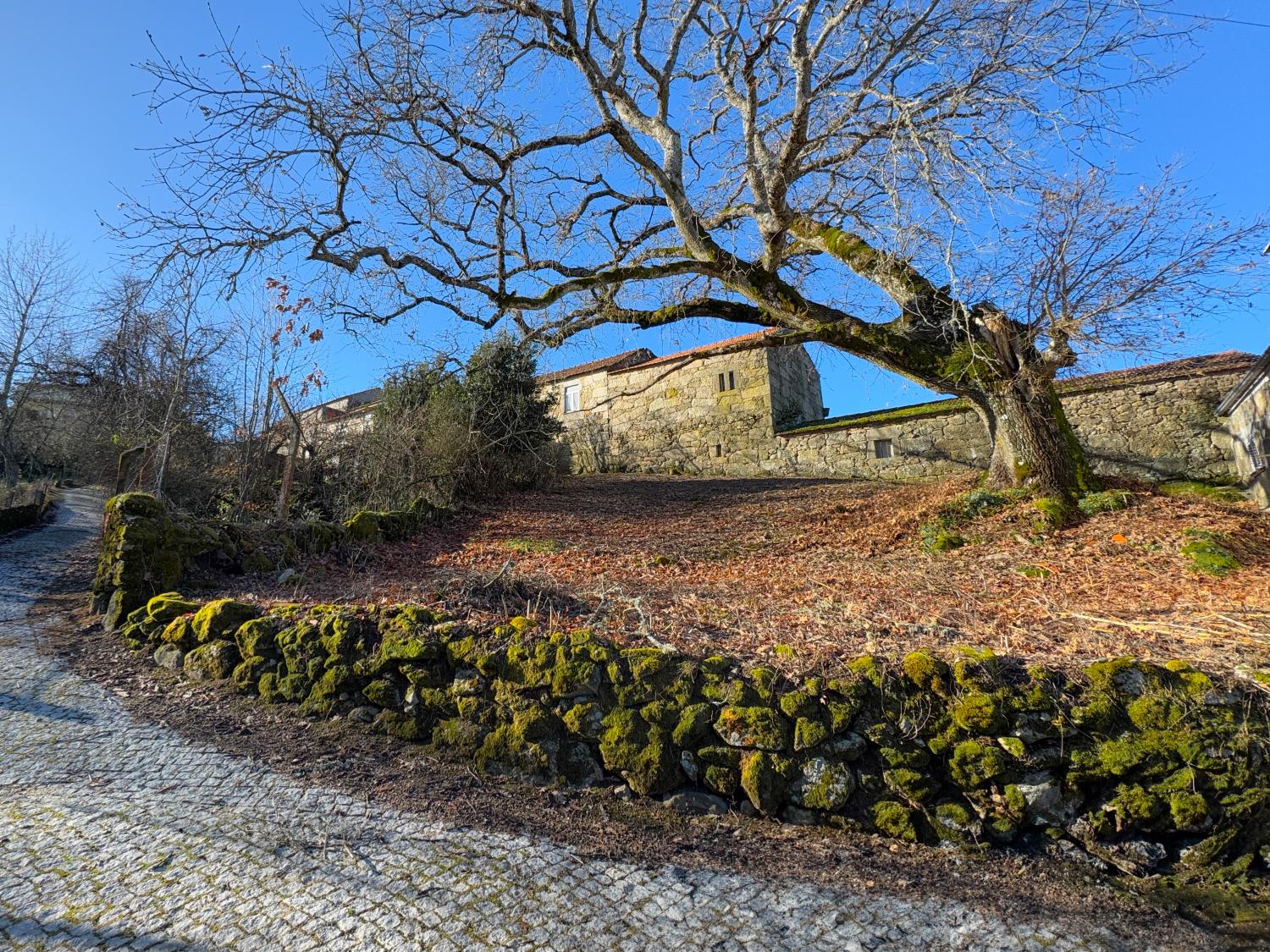  kaufen Dorfhaus Pousafoles do Bispo Sabugal 2