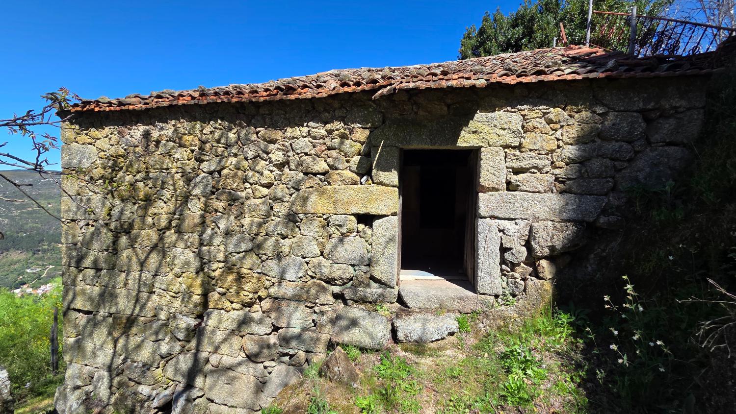 kaufen Bauernhof Famalicão Guarda 3