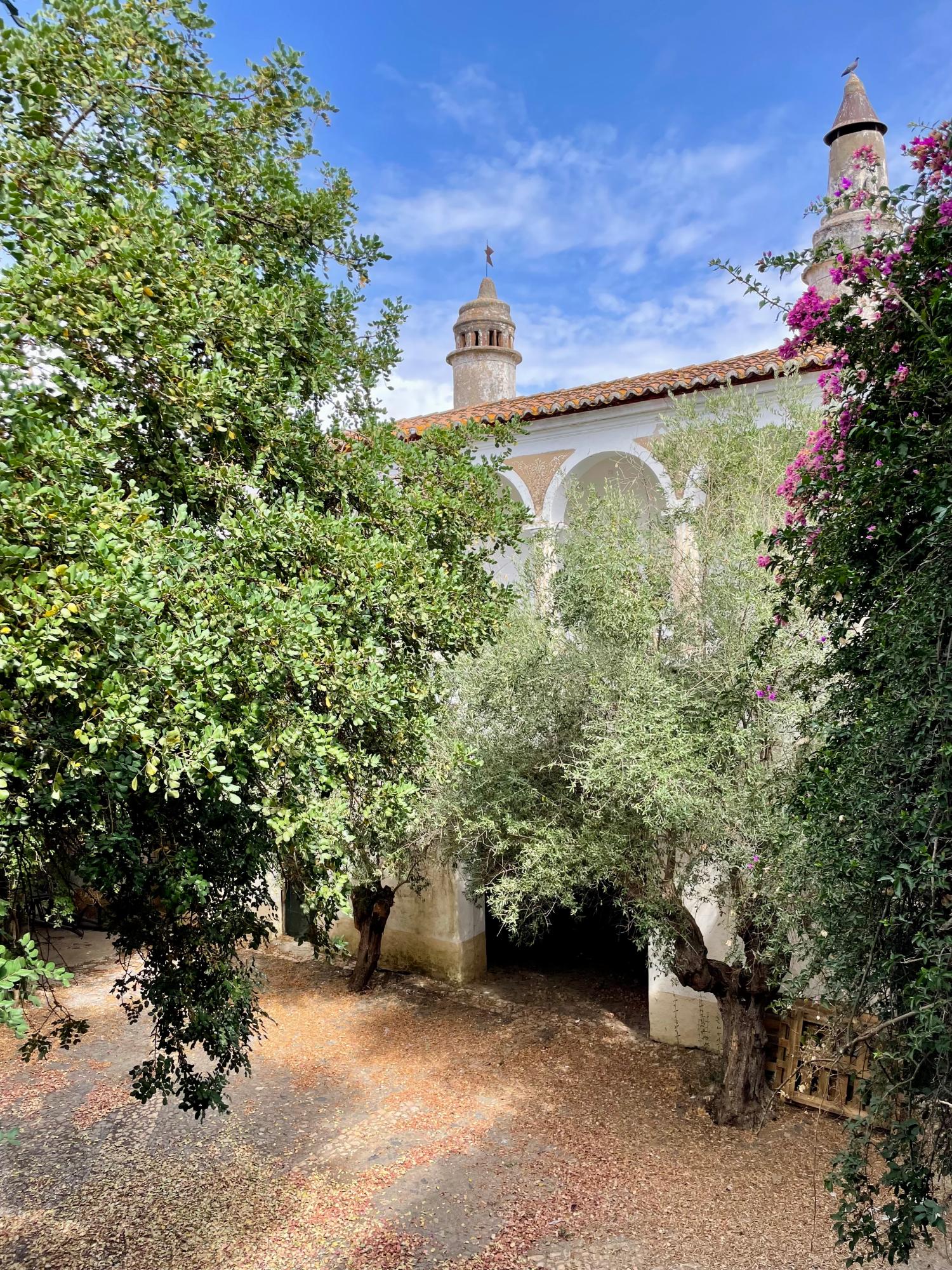  kaufen Bürgerhaus Reguengos de Monsaraz Reguengos De Monsaraz 6